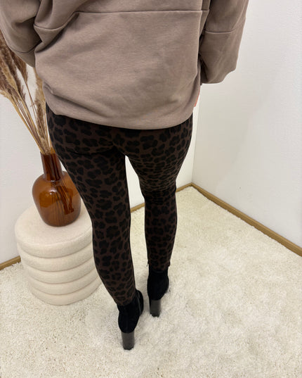 Leo Leggings Dark Chocolate Stretch