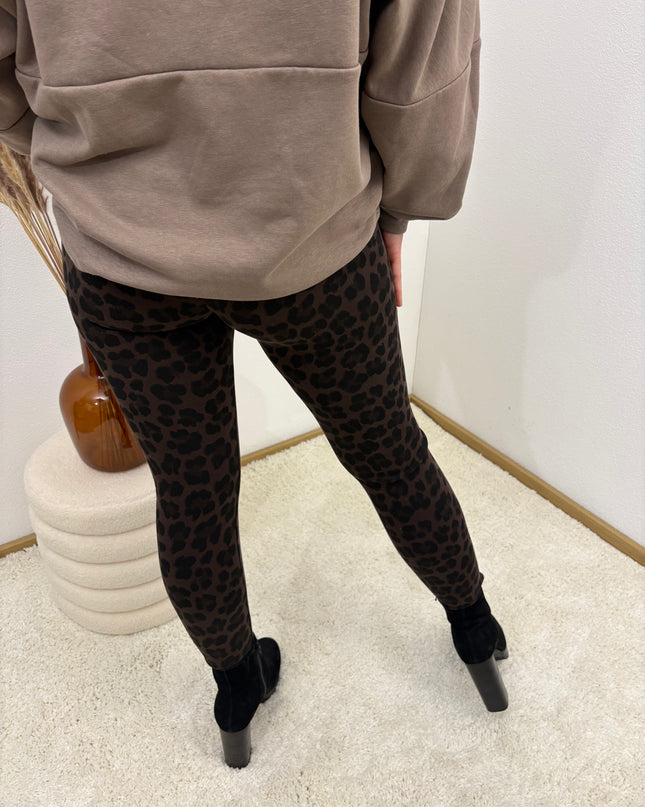 Leo Leggings Dark Chocolate Stretch