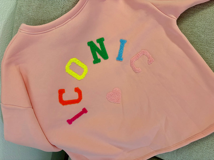 Iconic Sweater Pullover Sweatshirt mehrere Farben