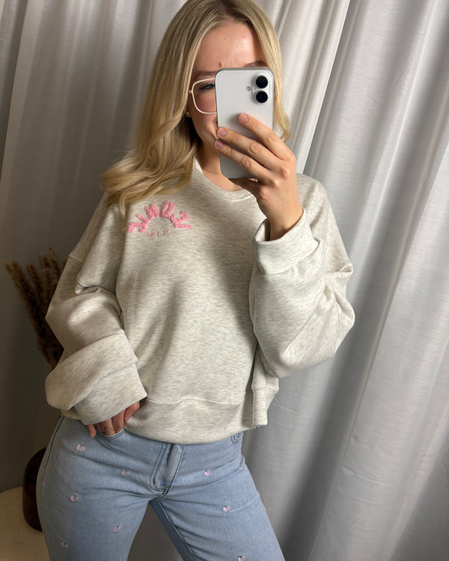 Iconic-Club Grau Rosa Sweater Pullover